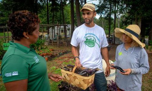 Conversation between two farmers and a USDA conservationist